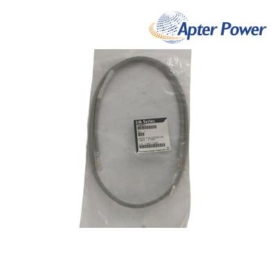FOXBORO P0800DG Fieldbus Extension Cable
