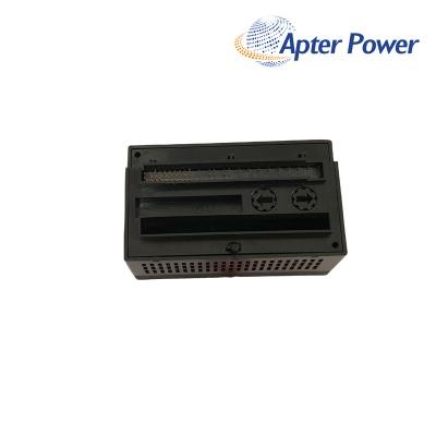 General Electric GE IC200ALG263 Analog Input Module
